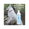 Glo Whitening Whitening Shampoo for Dogs - Wholesale