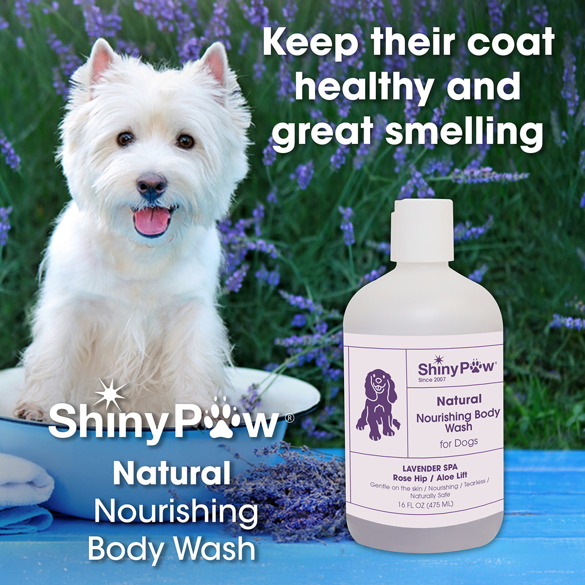 Natural Lavender dog body wash for nourishing skin and coat care