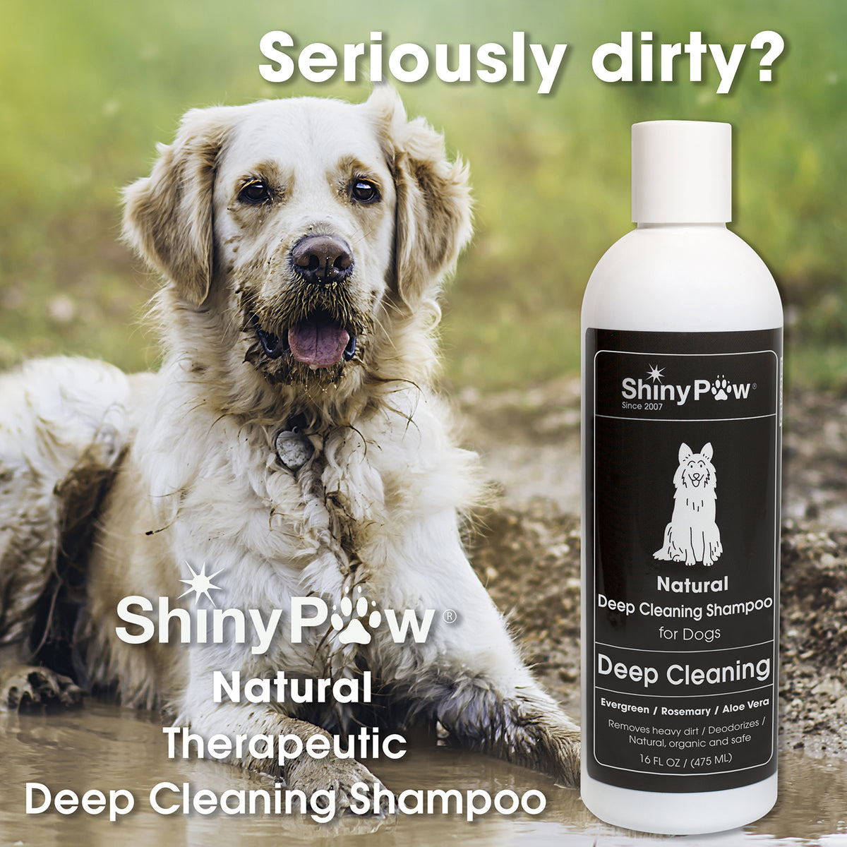 Natural deodorizing dog shampoo for dirt and unwanted coat odor