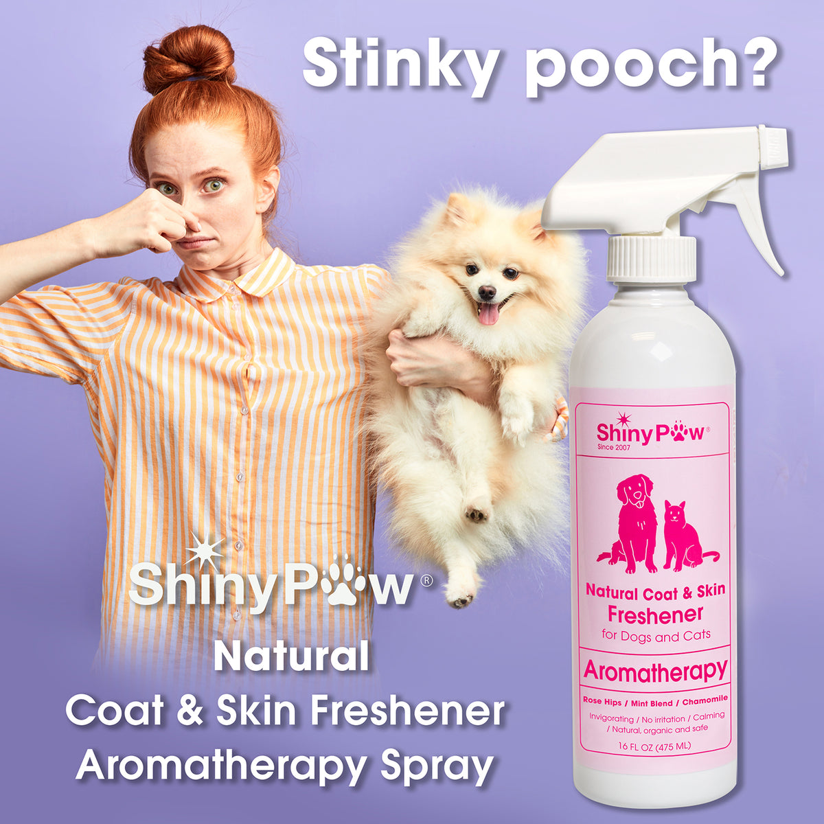 Natural dog coat freshener spray for use between baths