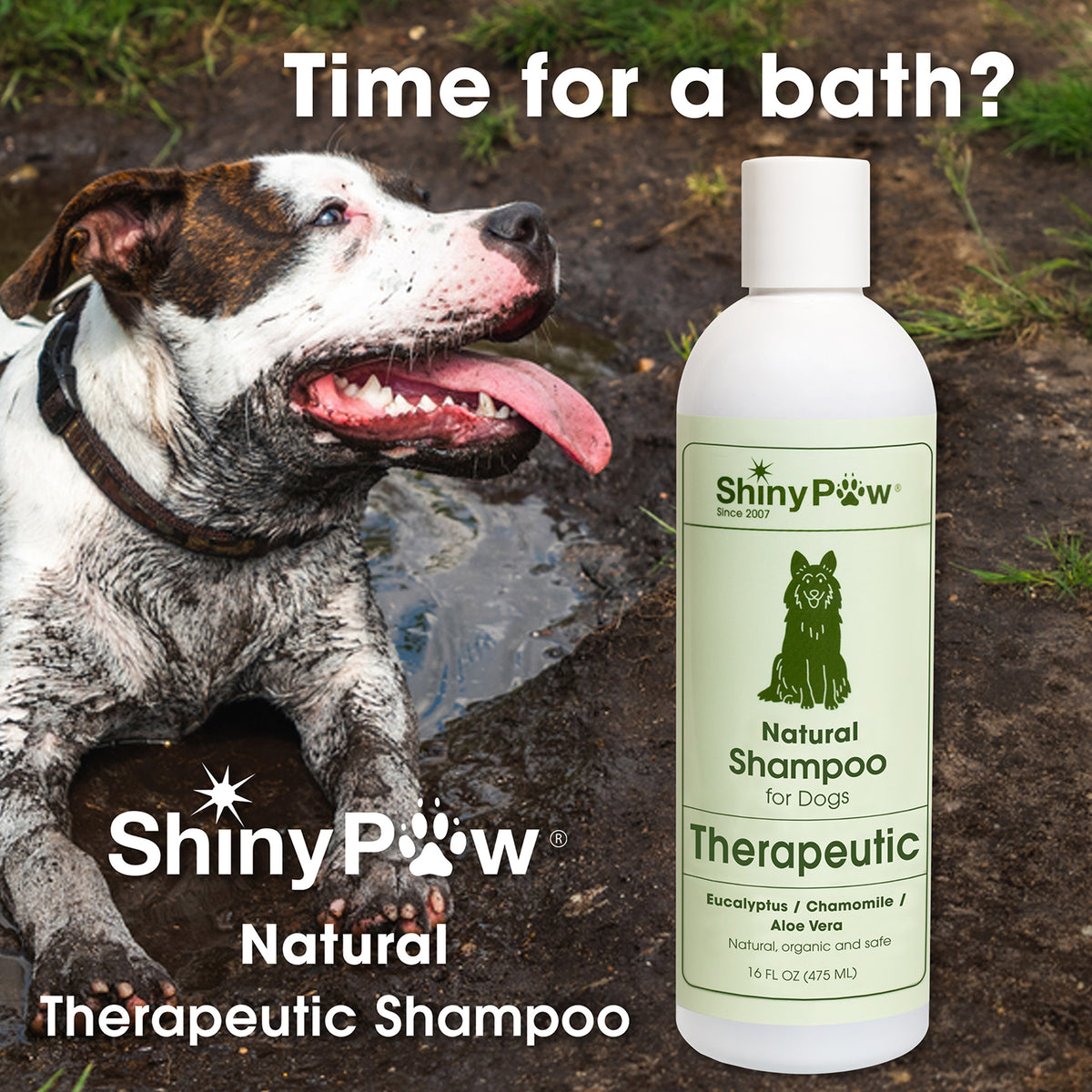 Natural Eucalyptus Dog Shampoo with Aloe Vera and Chamomile