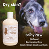 Natural oatmeal dog body wash for dry, itchy and sensitive skin