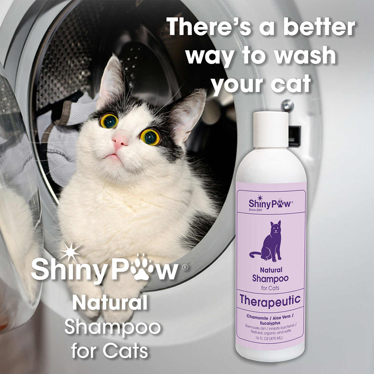 Shiny Paw Therapeutic Natural Shampoo for Cats Chamomile Aloe Eucalyptus