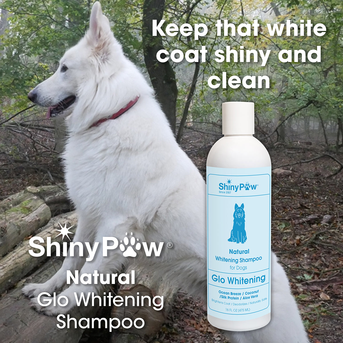 Glo Whitening Shampoo for dogs with white and light-colored coats